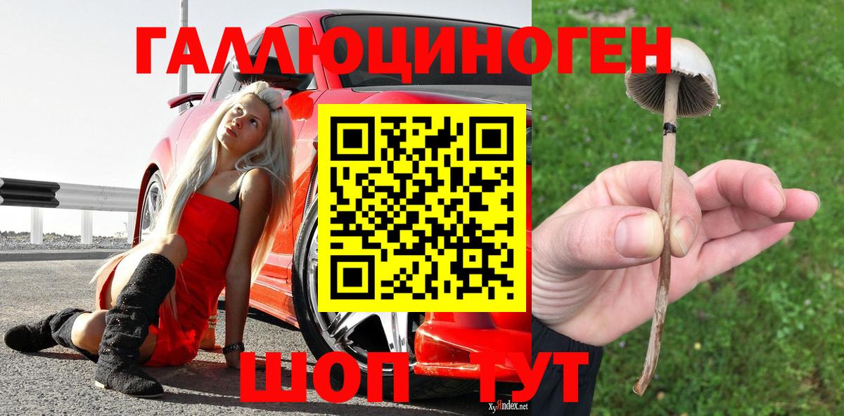 Кызыл  Псилоцибиновые грибы мицелий  закладки  Вход с VPN 